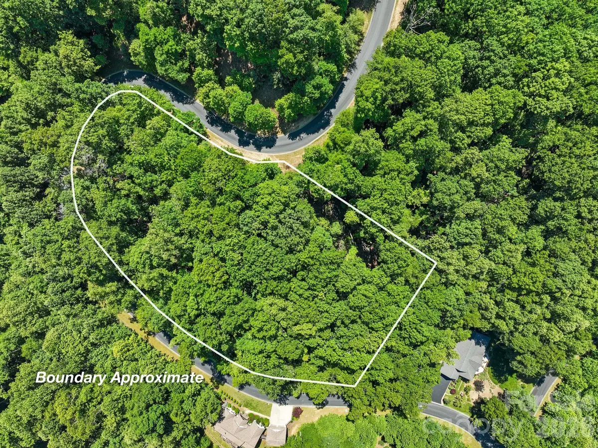 472 Mills River Way, Horse Shoe, NC 28742 - #1