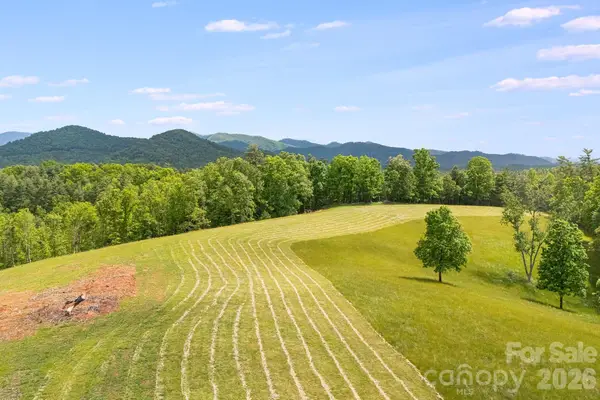 TBD California Creek Road, Mars Hill, NC 28754