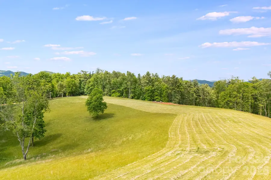 TBD California Creek Road, Mars Hill, NC 28754 - #3
