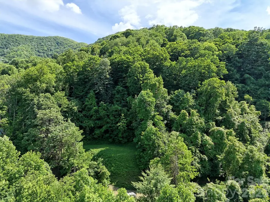 Lot 402 Malin Trail, Waynesville, NC 28786 - #3