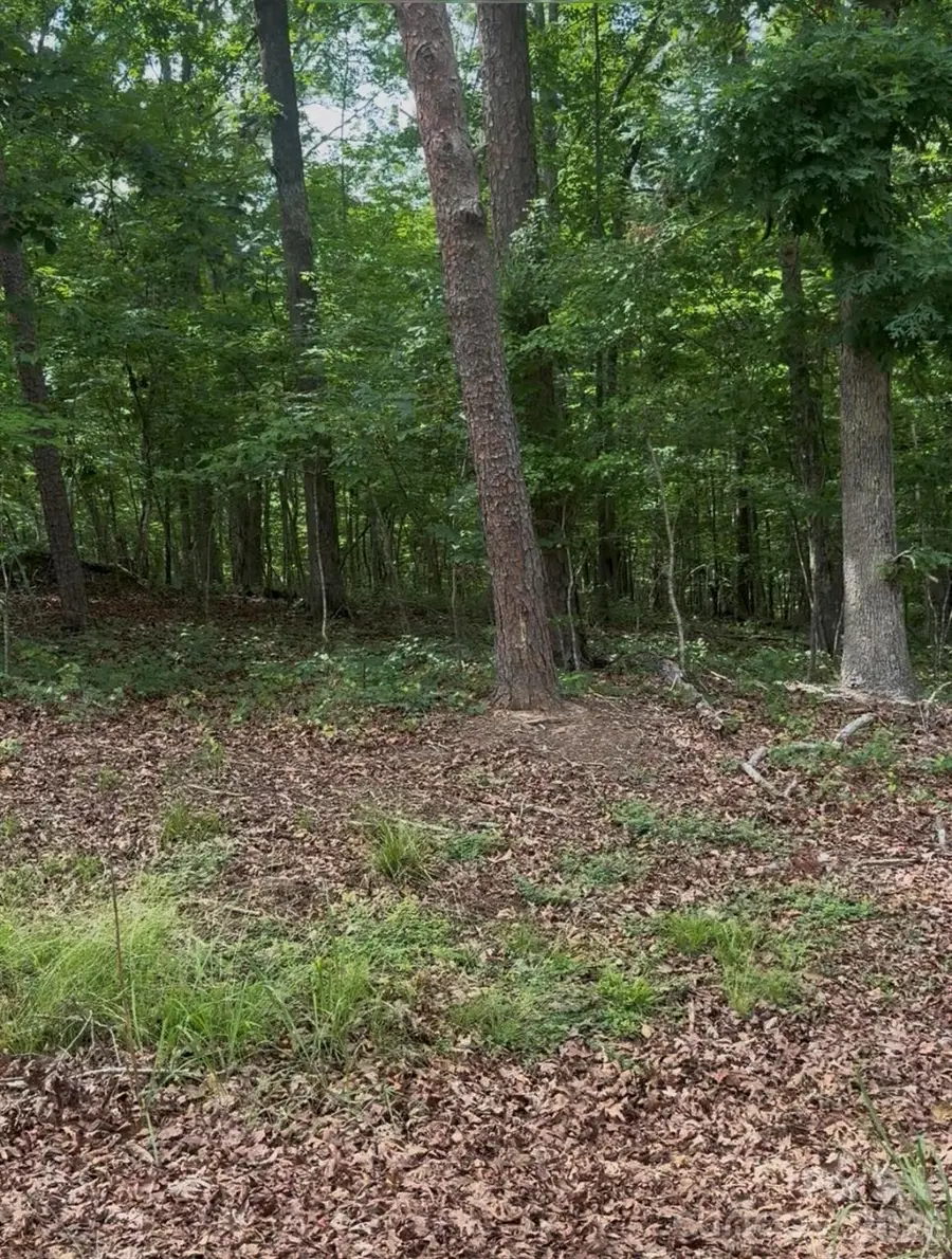 00 Oak Road, Norwood, NC 28128 - #2