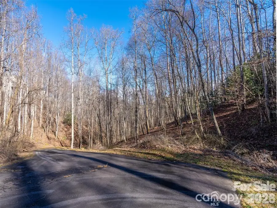 19 & 20 Marcus Ridge Drive #26/34, Fairview, NC 28730 - #3
