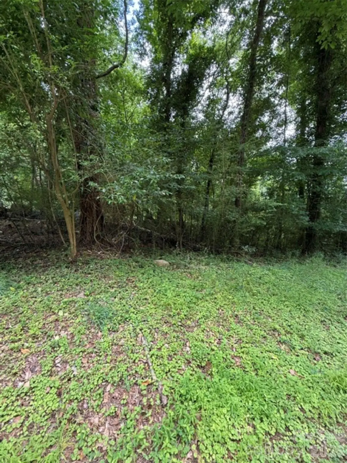 00 Lake Head Road, Norwood, NC 28128 - #1