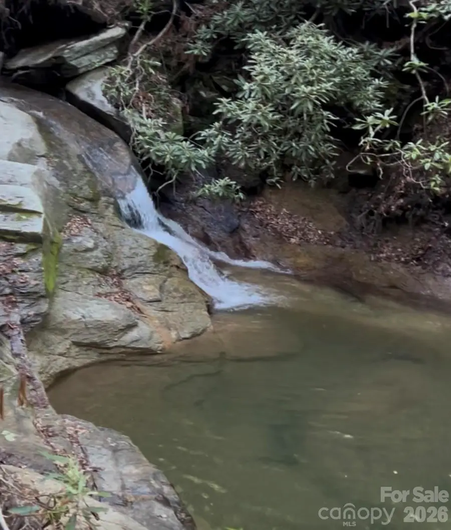 204 Rush Creek Road, Black Mountain, NC 28711 - #2