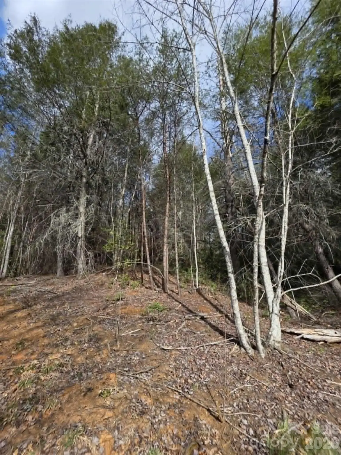 Lot 4 Kerlee Lane, Old Fort, NC 28762 - #1