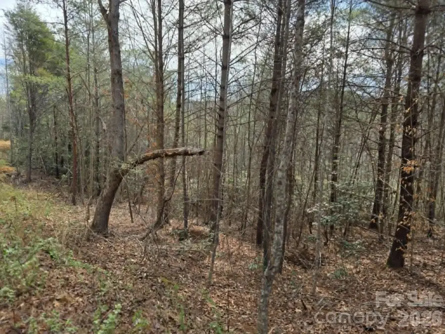 Lot 4 Kerlee Lane, Old Fort, NC 28762 - #3