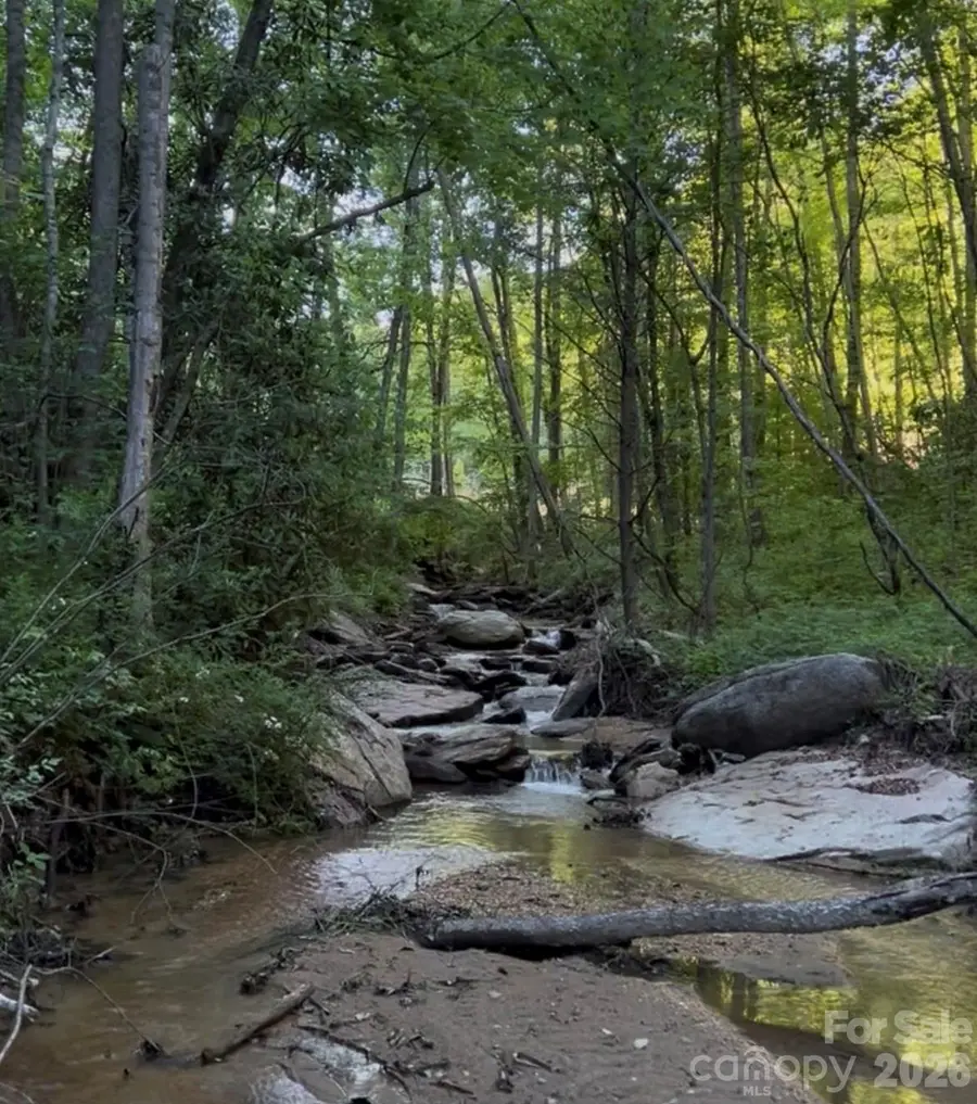 TBD Lot 3 Rush Creek Road, Black Mountain, NC 28711 - #3
