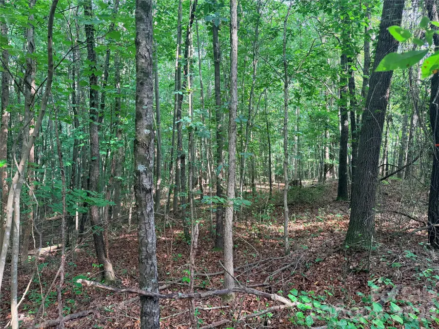 lot 3 Schenck Farm Road, Lawndale, NC 28090 - #3
