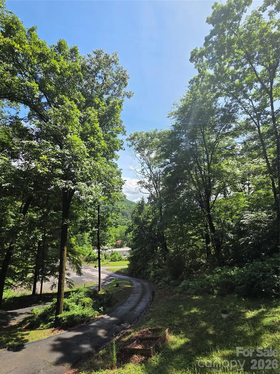165 Mount Eire Drive, Sylva, NC 28779 - #2