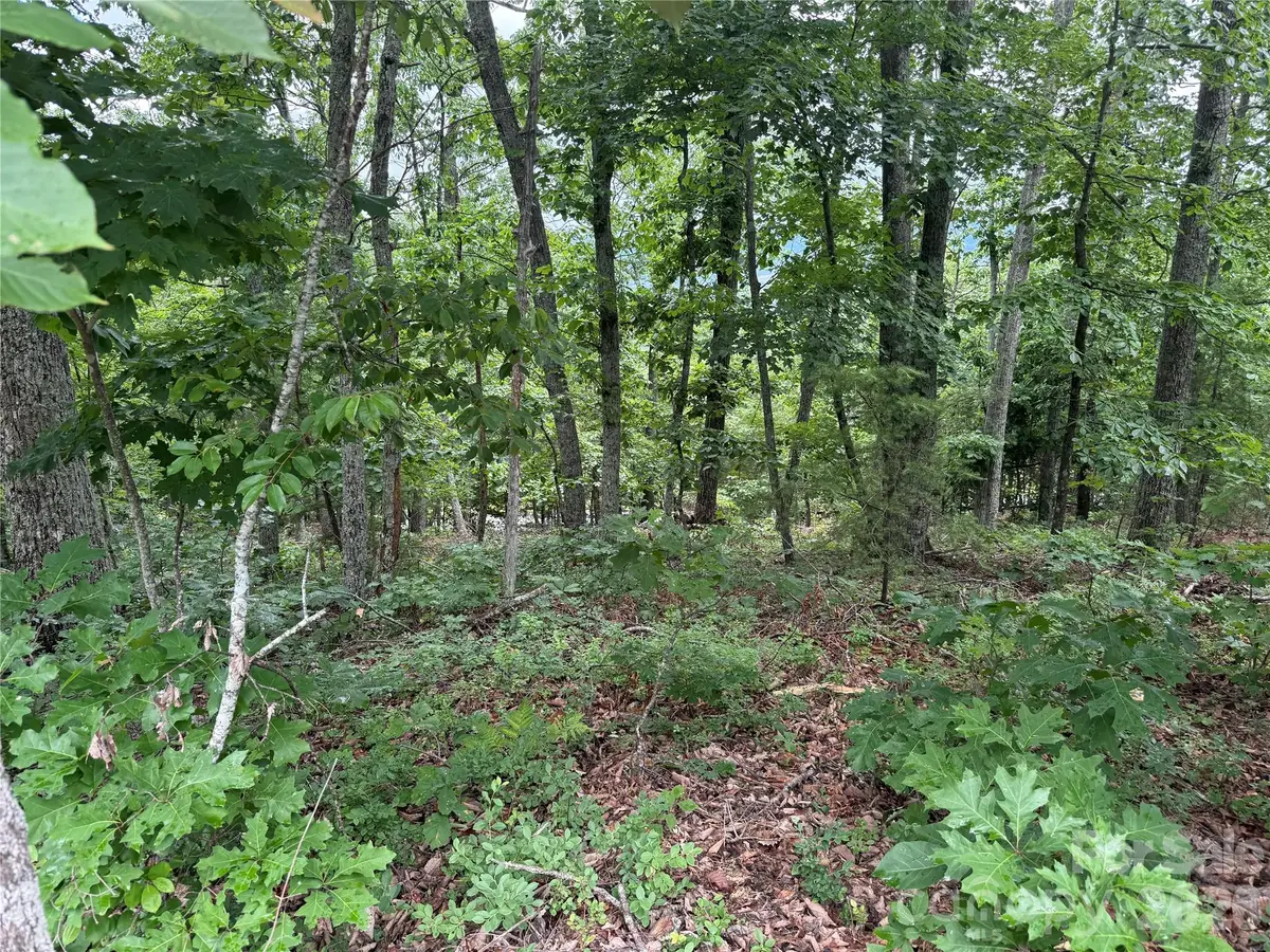 0 Arbra Mountain Way #54, Bostic, NC 28018 - #1