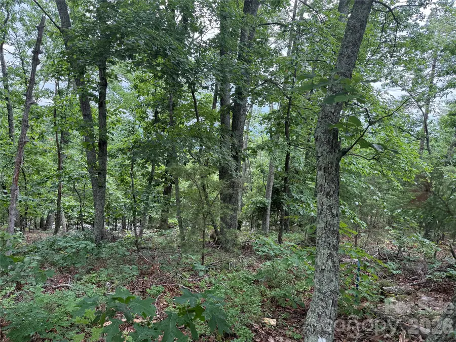 0 Arbra Mountain Way #54, Bostic, NC 28018 - #3