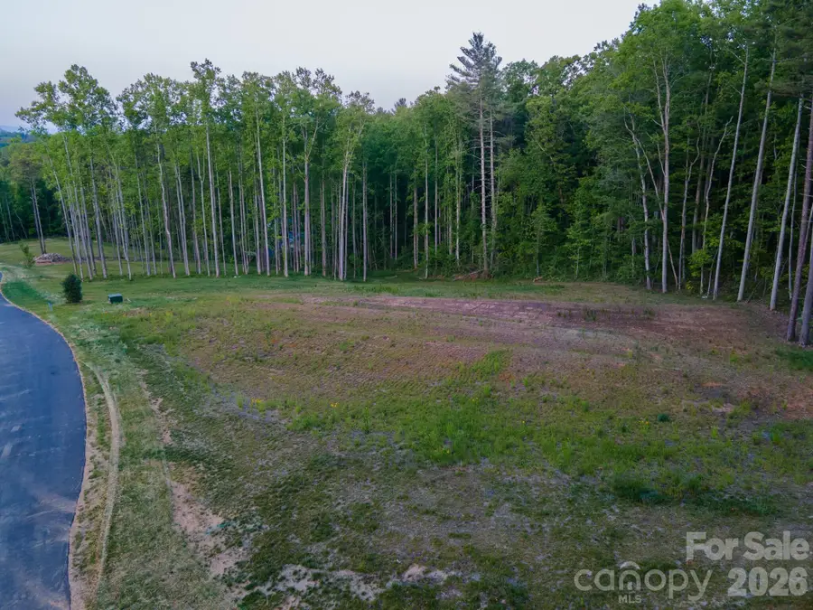 444 Irvine Drive, Fairview, NC 28730 - #2
