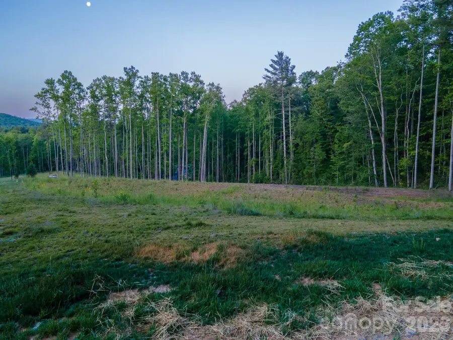 444 Irvine Drive, Fairview, NC 28730 - #3