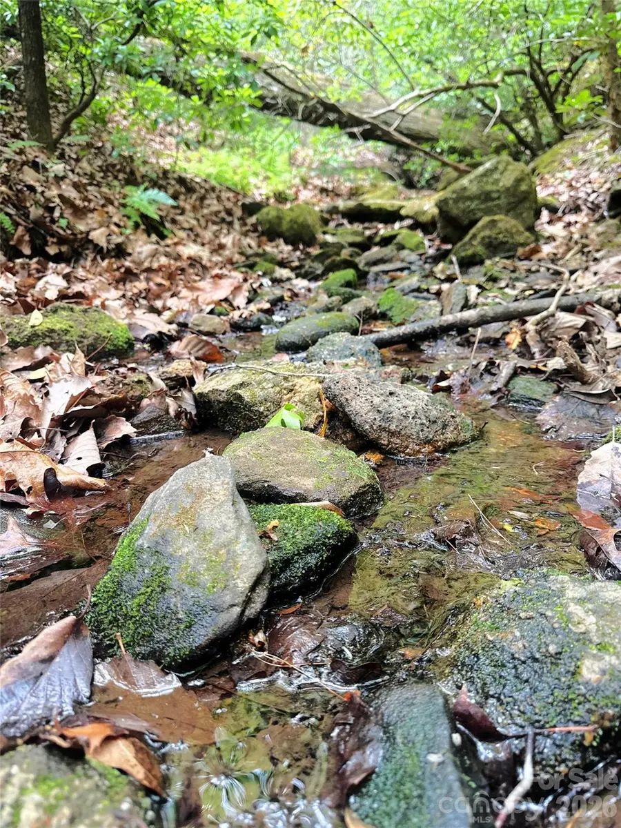 000 Laughter Road, Mill Spring, NC 28756 - #2