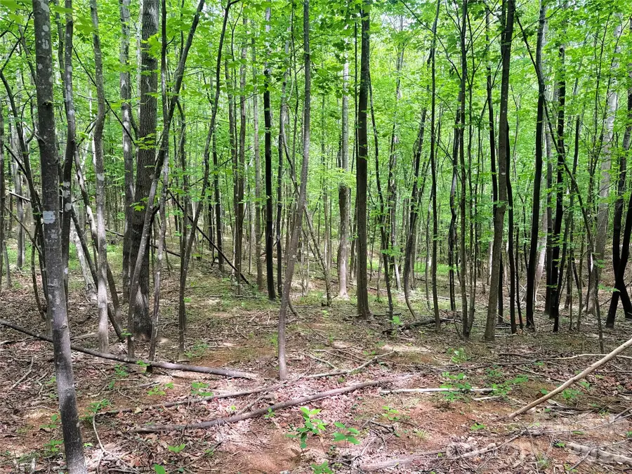 000 Laughter Road, Mill Spring, NC 28756 - #3
