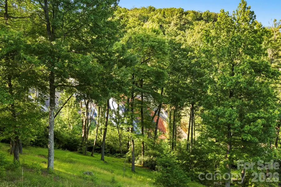 30 Lower Tanglewood Road E #2, Lake Toxaway, NC 28747 - #3