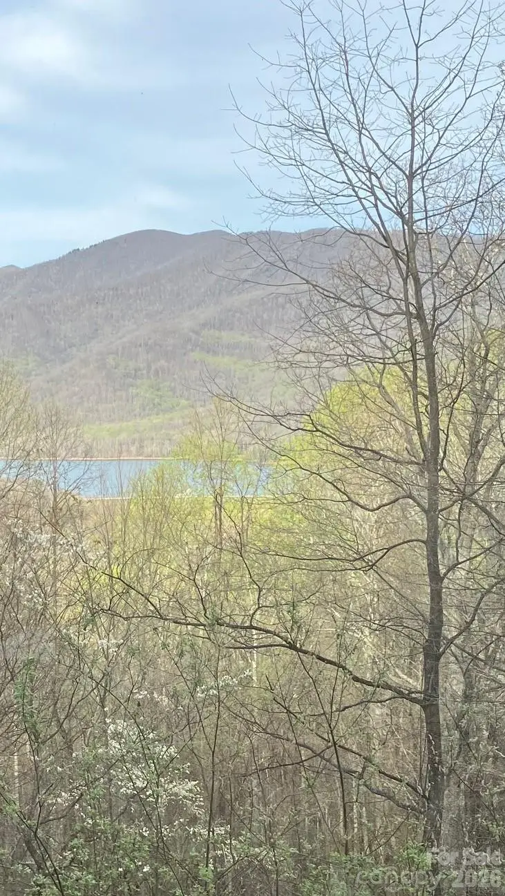 22 Great Aspen Way, Black Mountain, NC 28711 - #2