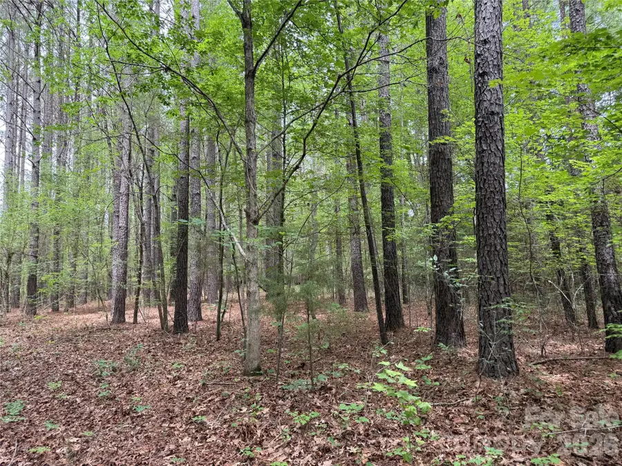 0 Herbert Faucette Road, Bullock, NC 27507 - #3
