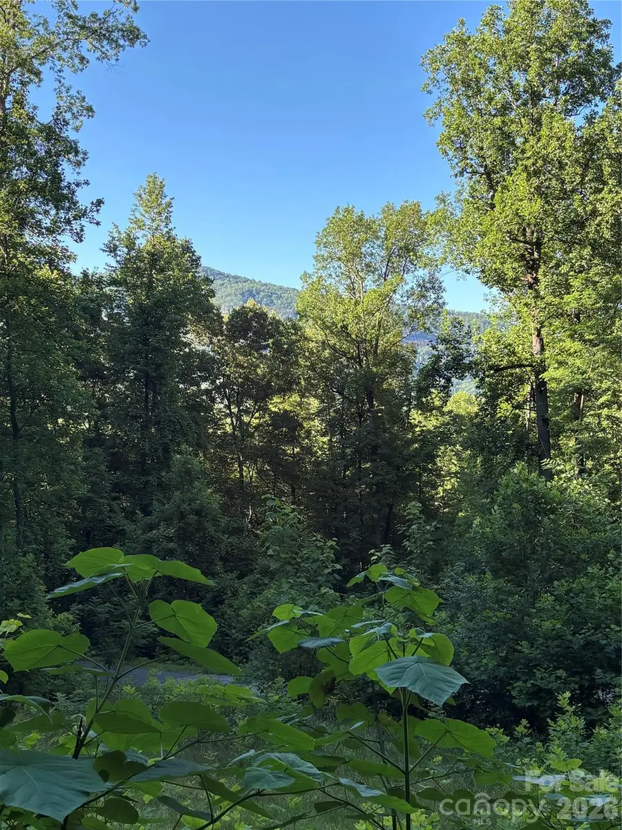 0 Lower Collier Cobb Drive, Lake Lure, NC 28746 - #2