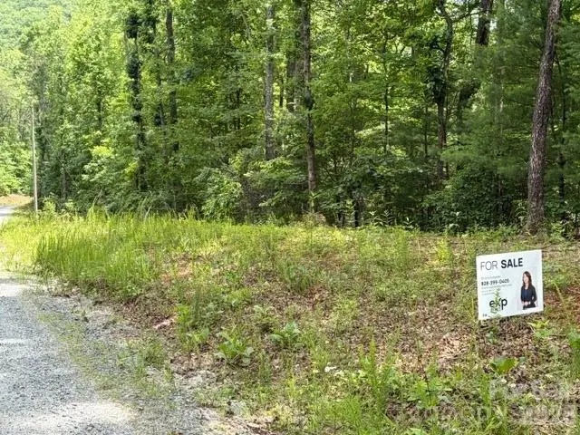 0 Country Way, Lake Lure, NC 28746 - #2