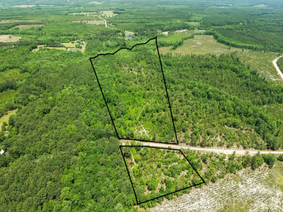 0000 Crowley Road, Patrick, SC 29584 - #2