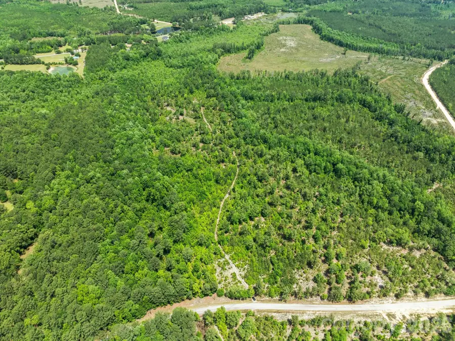 0000 Crowley Road, Patrick, SC 29584 - #3