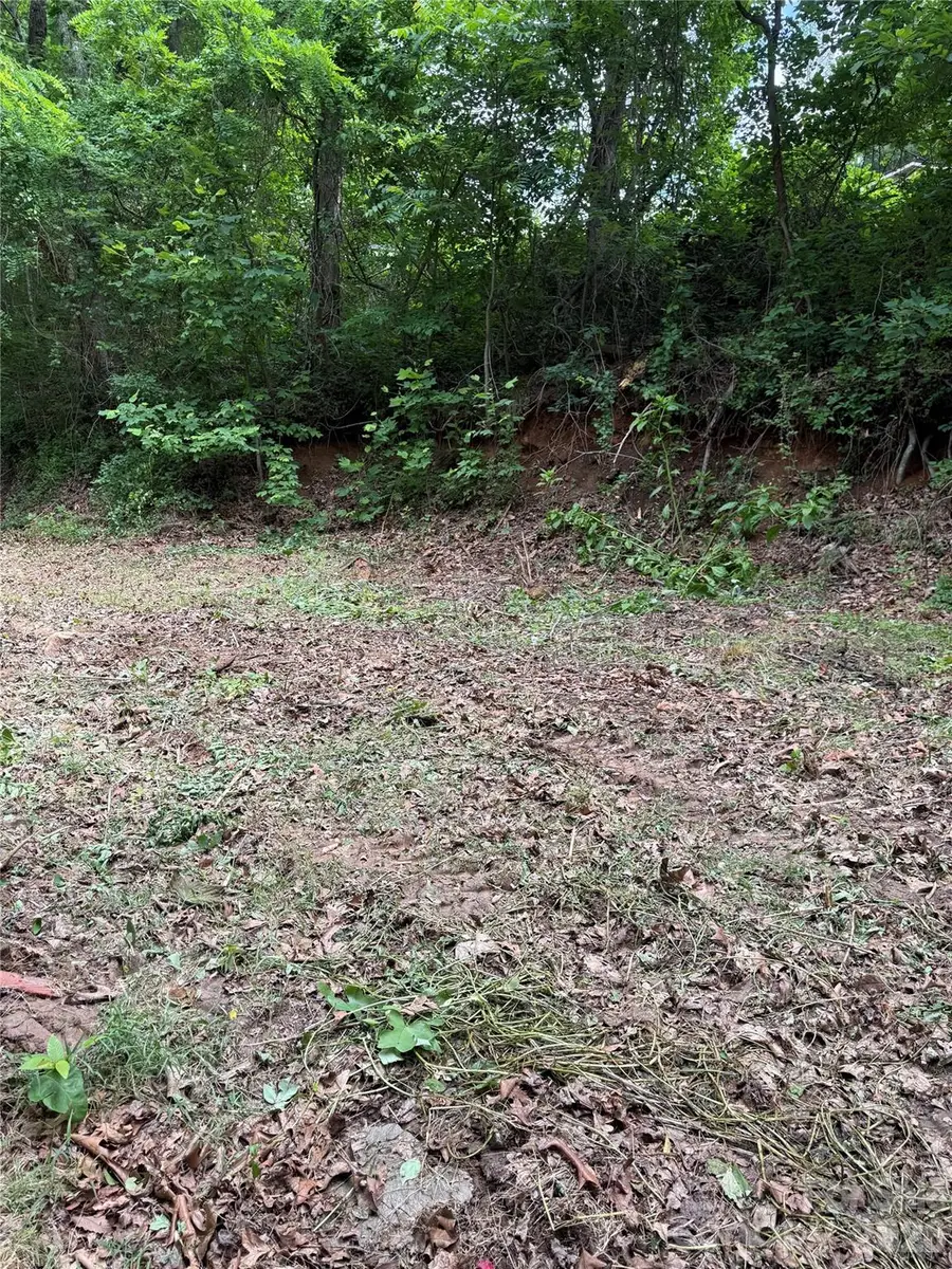 370 Spivey Mountain Road, Asheville, NC 28806 - #3