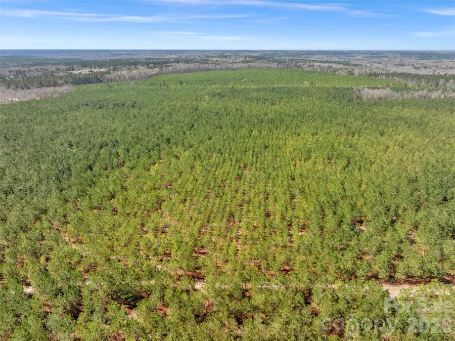 931 Charlie Johnson Road #2, Kershaw, SC 29067 - #2