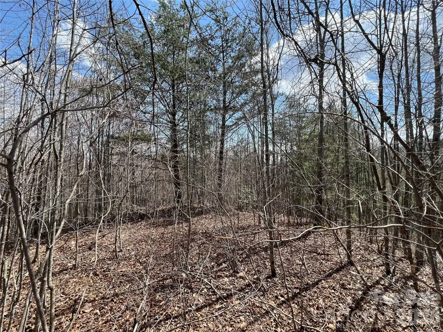 192 Pine Cone Trail #21, Marshall, NC 28753 - #2