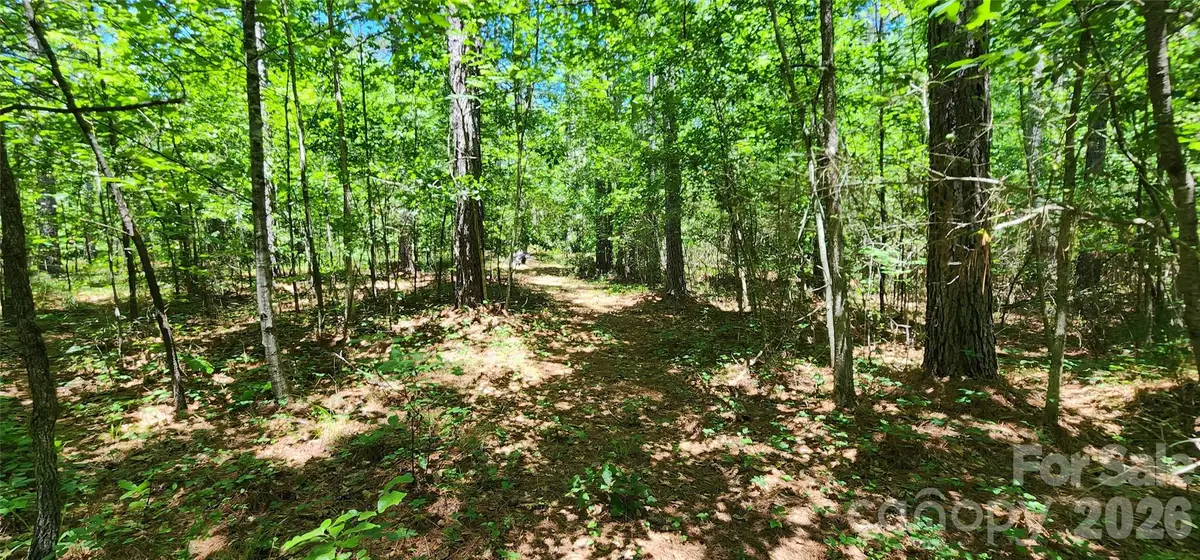 171 Bambi Lane, White Oak, NC 28782 - #1