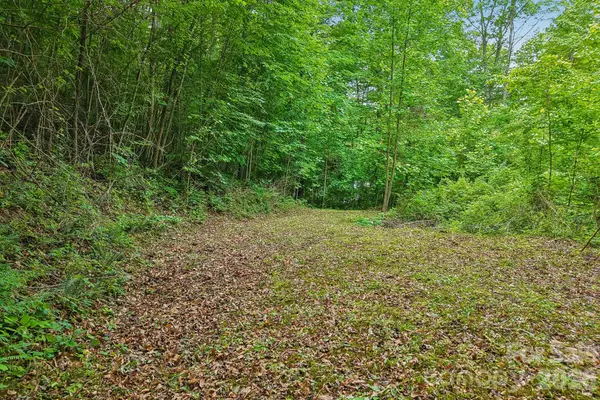 00 Sequoyah Drive, Waynesville, NC 29786