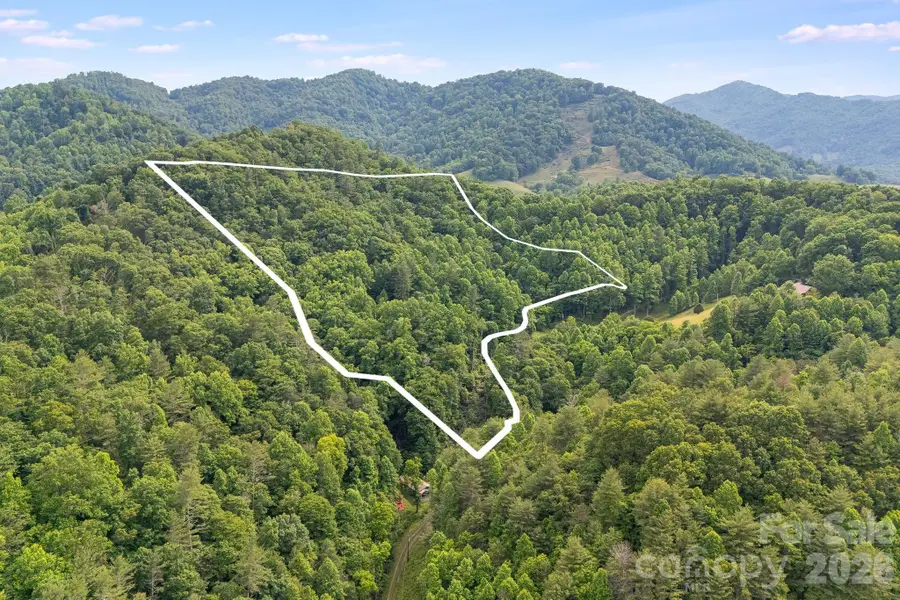 99999 Acorn Drive, Marshall, NC 28754 - #2