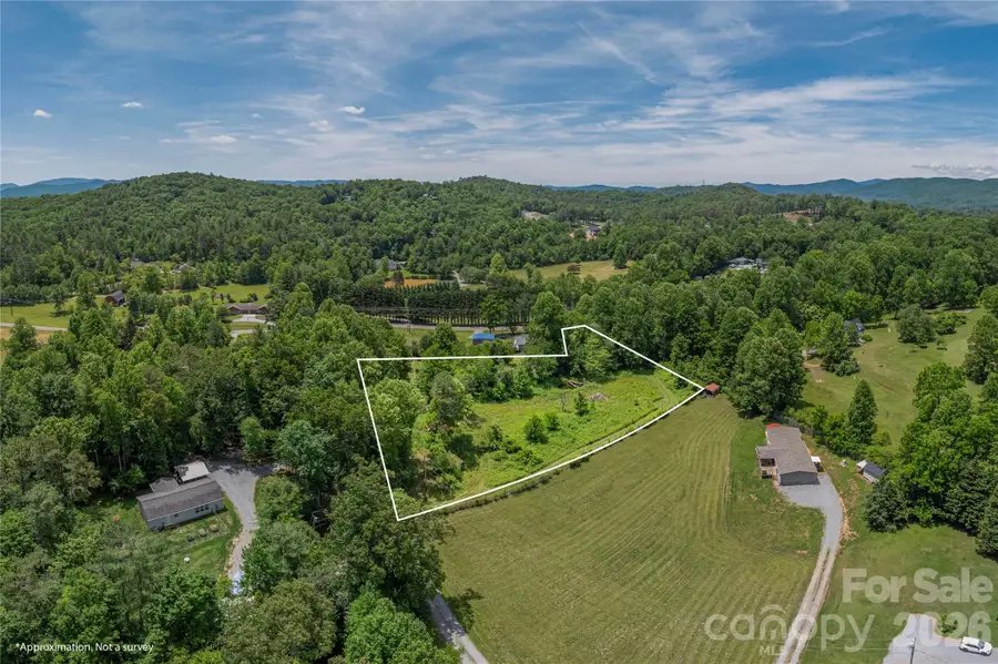 999 Pressley Lane, Horse Shoe, NC 28742 - #3