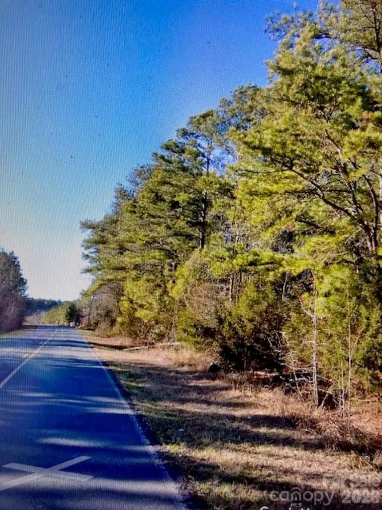 1220 Long Pine Church Road, Peachland, NC 28133 - #1