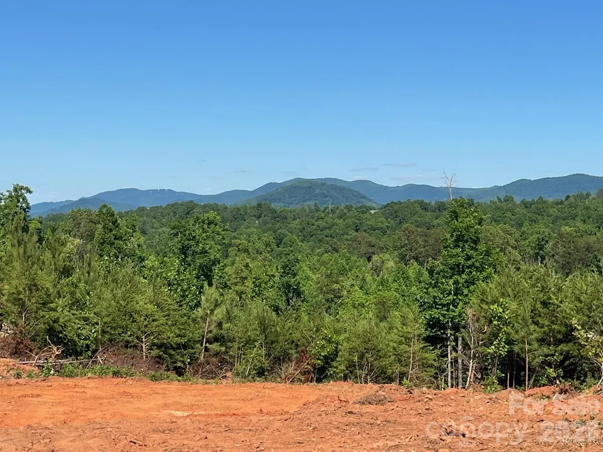TBD Vein Mountain Road #20, Nebo, NC 28761 - #1