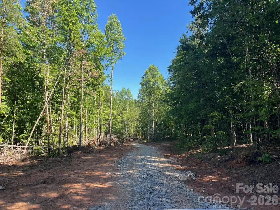 TBD Vein Mountain Road #20, Nebo, NC 28761 - #3