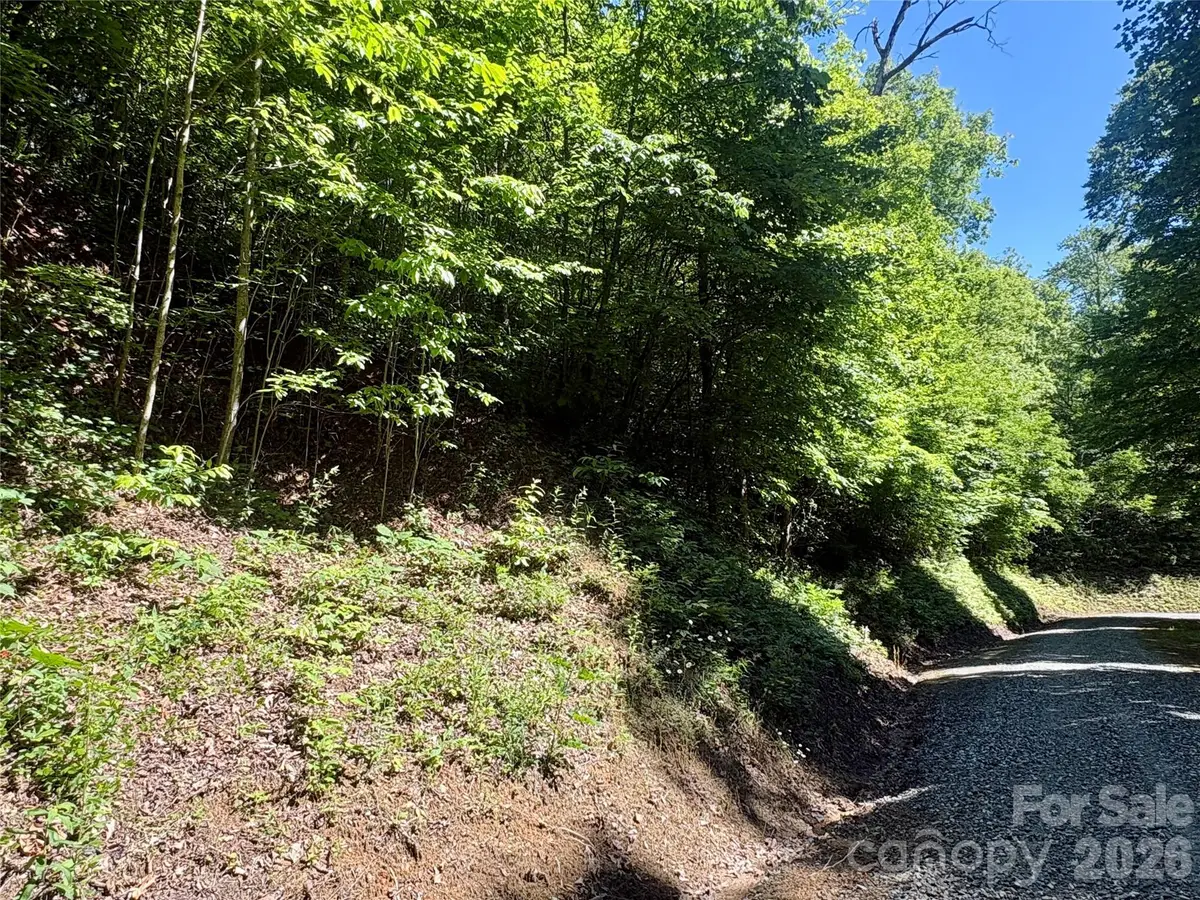 0 Middle Ridge #38, Whittier, NC 28789 - #1