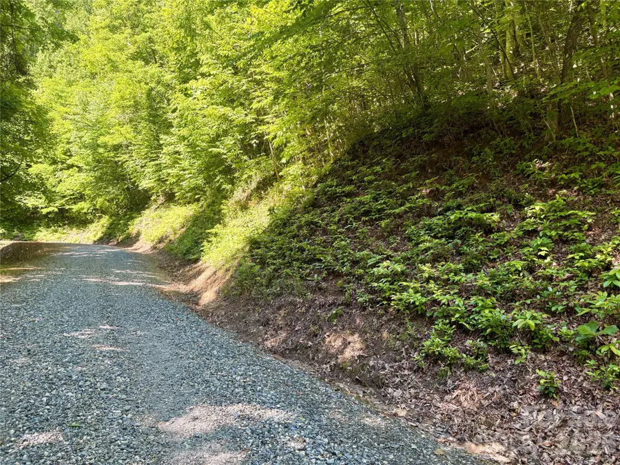0 Middle Ridge #38, Whittier, NC 28789 - #3