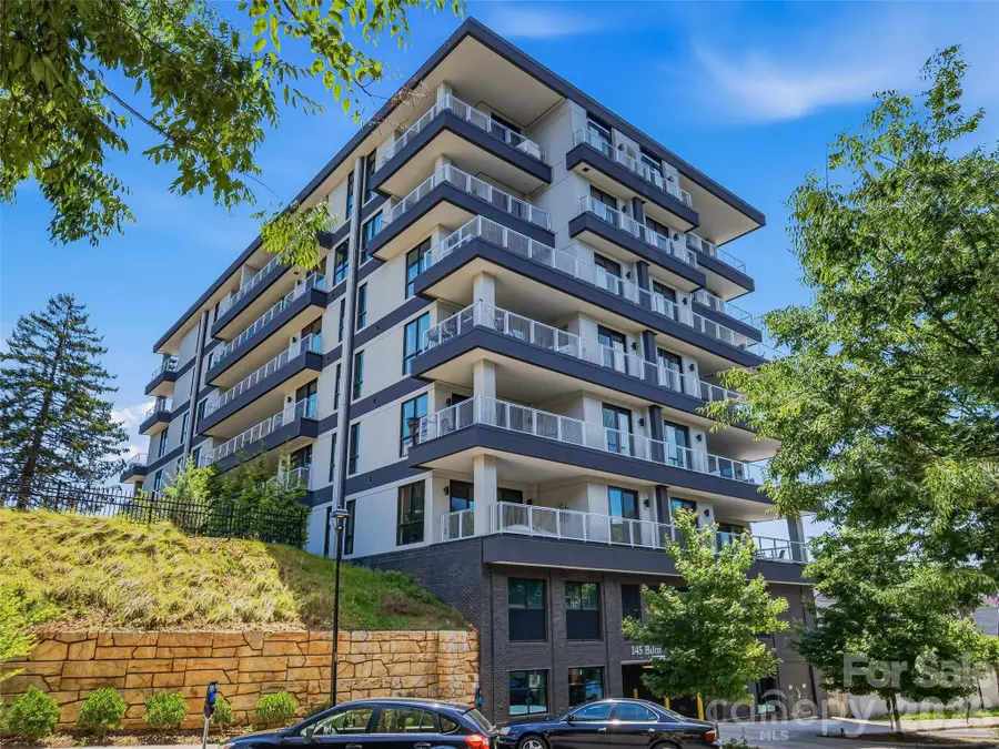 145 Biltmore Avenue #Unit 403, Asheville, NC 28801 - #3