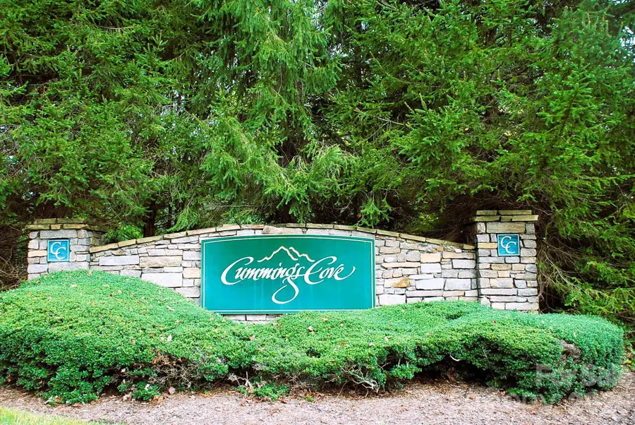3121 Cove Loop Road, Hendersonville, NC 28739 - #3
