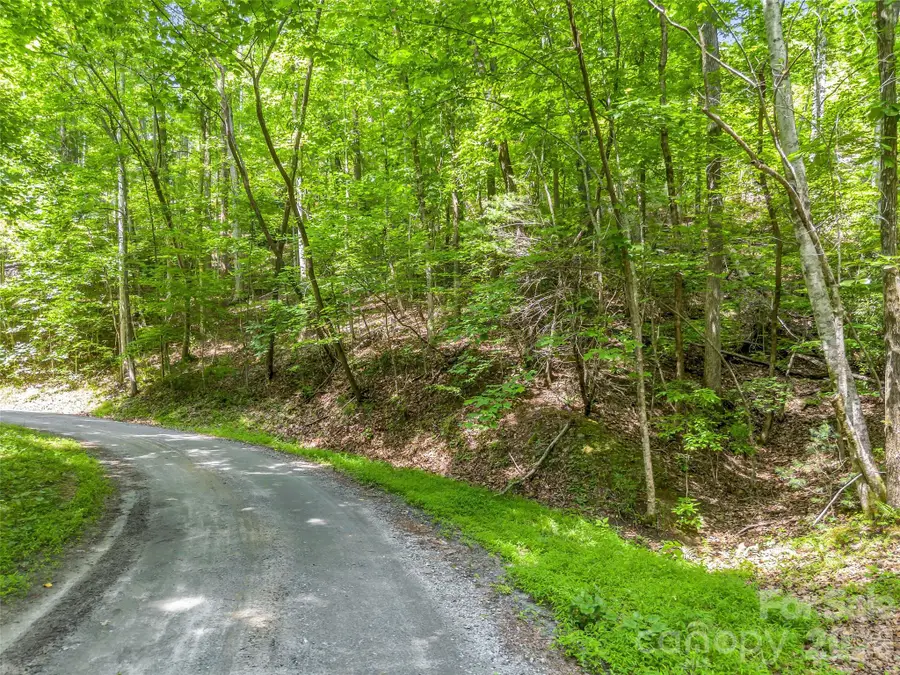 00 Chipmonk Trail #107, Lake Lure, NC 28746 - #3