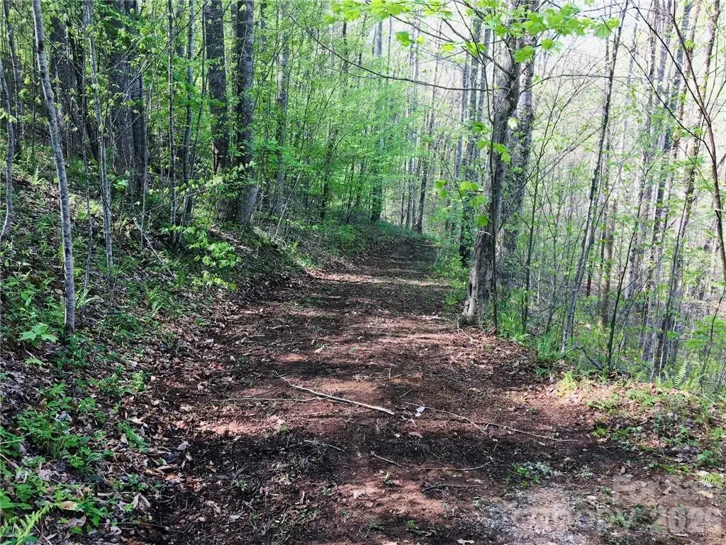99 Fern Hill Drive, Mars Hill, NC 28754 - #1