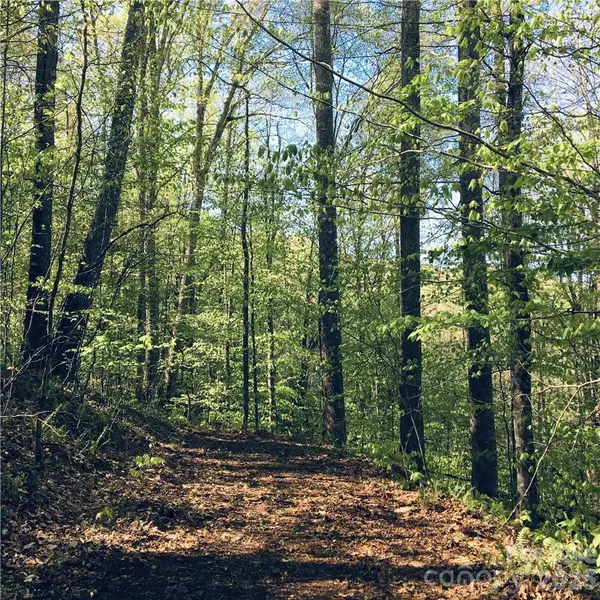 57 Fern Hill Drive, Mars Hill, NC 28754