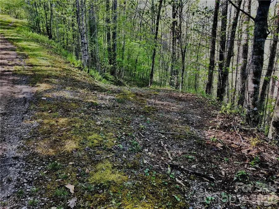 99 &57 Fern Hill Drive, Mars Hill, NC 28754 - #2