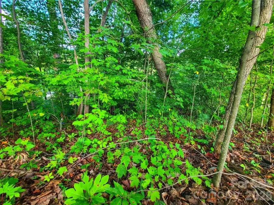141 Sunrise Drive #14, Mars Hill, NC 28754 - #2