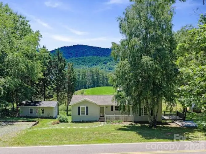 308 Browntown Road, Leicester, NC 28748 - #1