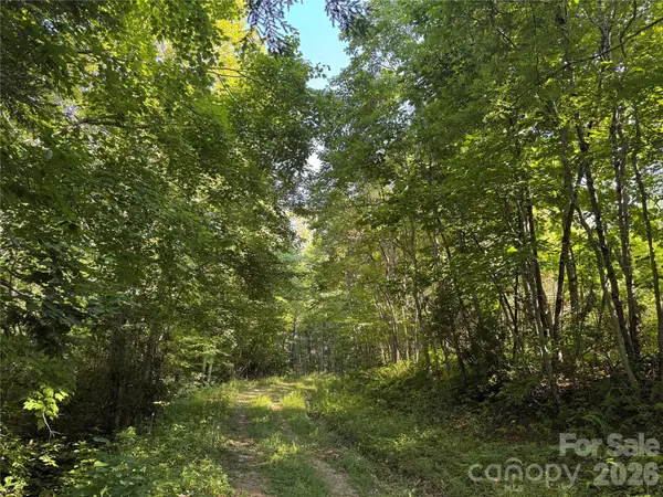 999999 Fairview Church Road, Lansing, NC 28643
