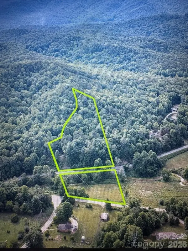4733 Bat Cave Road, Old Fort, NC 28762