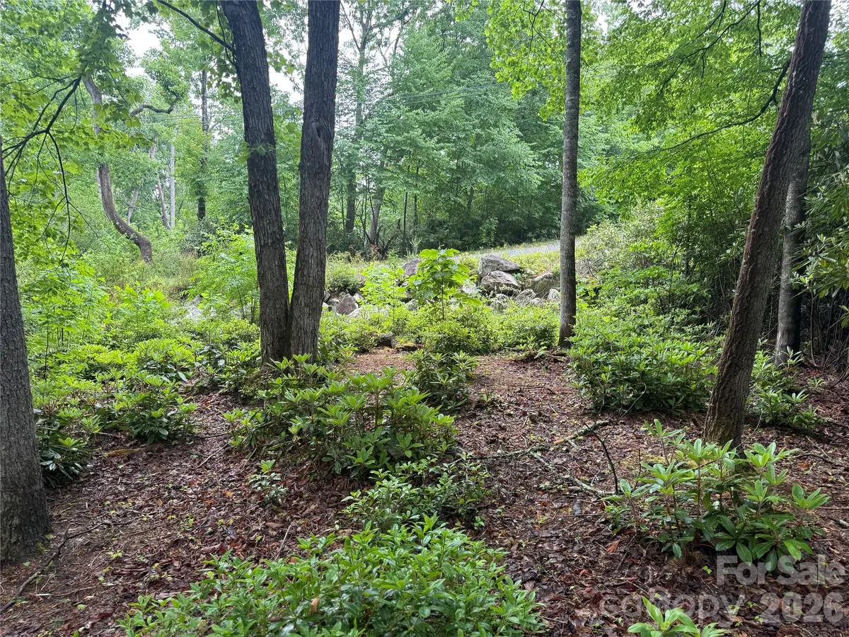 TBD Dogwood Trail, Spruce Pine, NC 28777 - #1