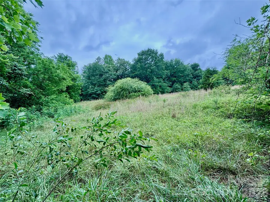 138 Greenhill Farms Drive, Rutherfordton, NC 28139 - #3